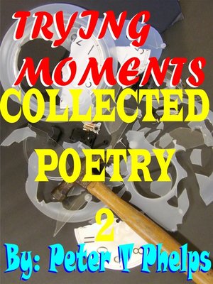 cover image of Trying Moments